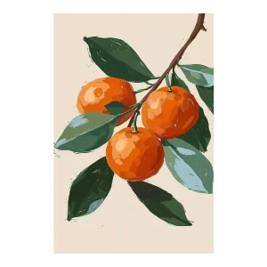 Orangenfrische