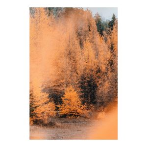 Herbstlicher Flüsterton
