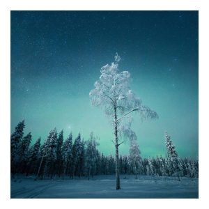 Eisige Stille