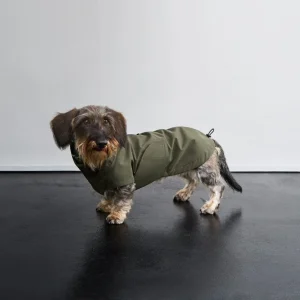 Hunderegenmantel DACKEL Dublin 2.0 Dark Olive