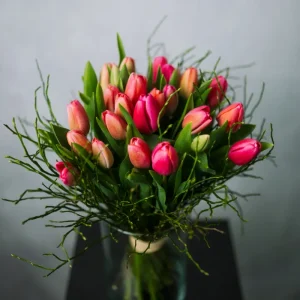 Tulpen Einzeln