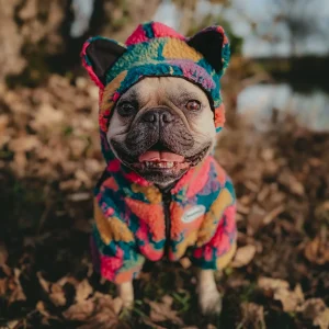 Teddy® Fleecejacke