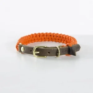 Halsband aus Segeltau mit Fettleder